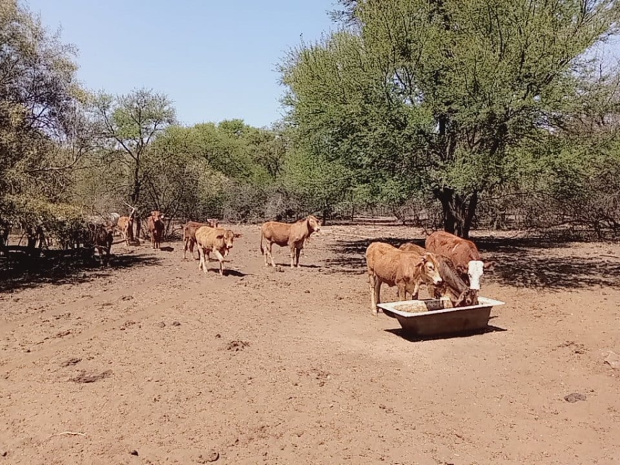  Bedroom Property for Sale in Lichtenburg Rural North West